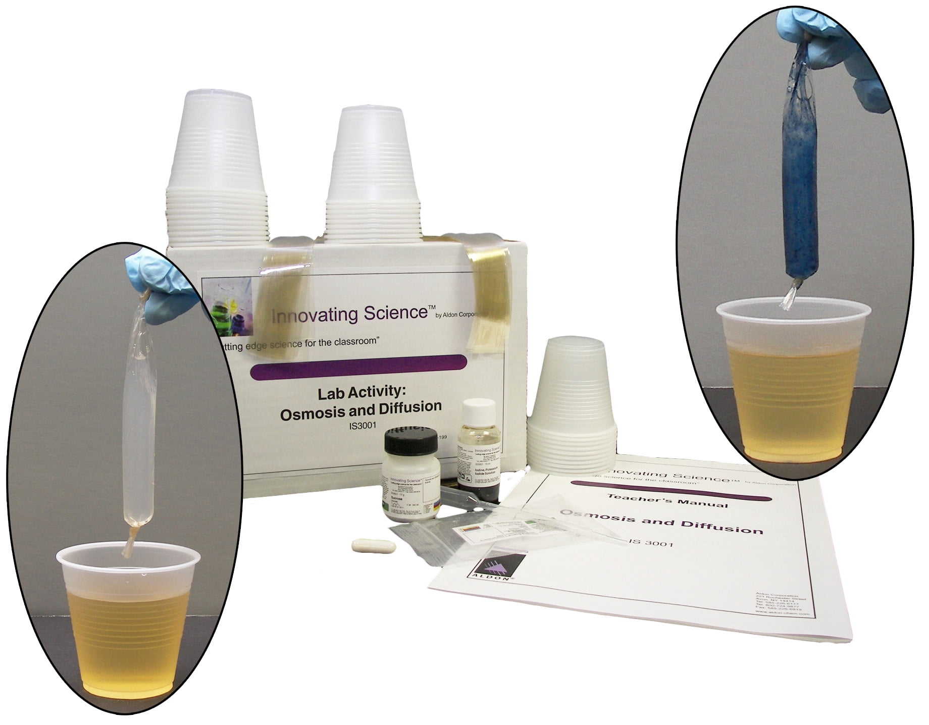 Innovating Science Osmosis and Diffusion Lab Kit - Walmart.com