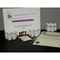 thumbnail image 1 of thin layer chromatography kit: separating chemical substances (materials for 15 groups of students), 1 of 2