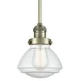 thumbnail image 1 of Innovations Lighting 201S Olean Olean 8" Tall Mini Rod Hung Pendant - Brass, 1 of 7