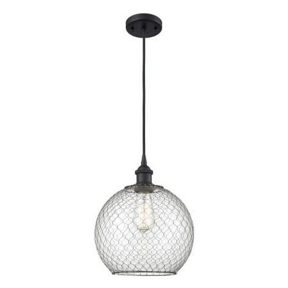 Innovations Lighting 516-1P Large Farmhouse Chicken Wire Large Farmhouse Chicken Wire 10"