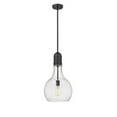thumbnail image 1 of Innovations Lighting - Amherst - 1 Light Mini Pendant In Industrial Style-20.25, 1 of 1