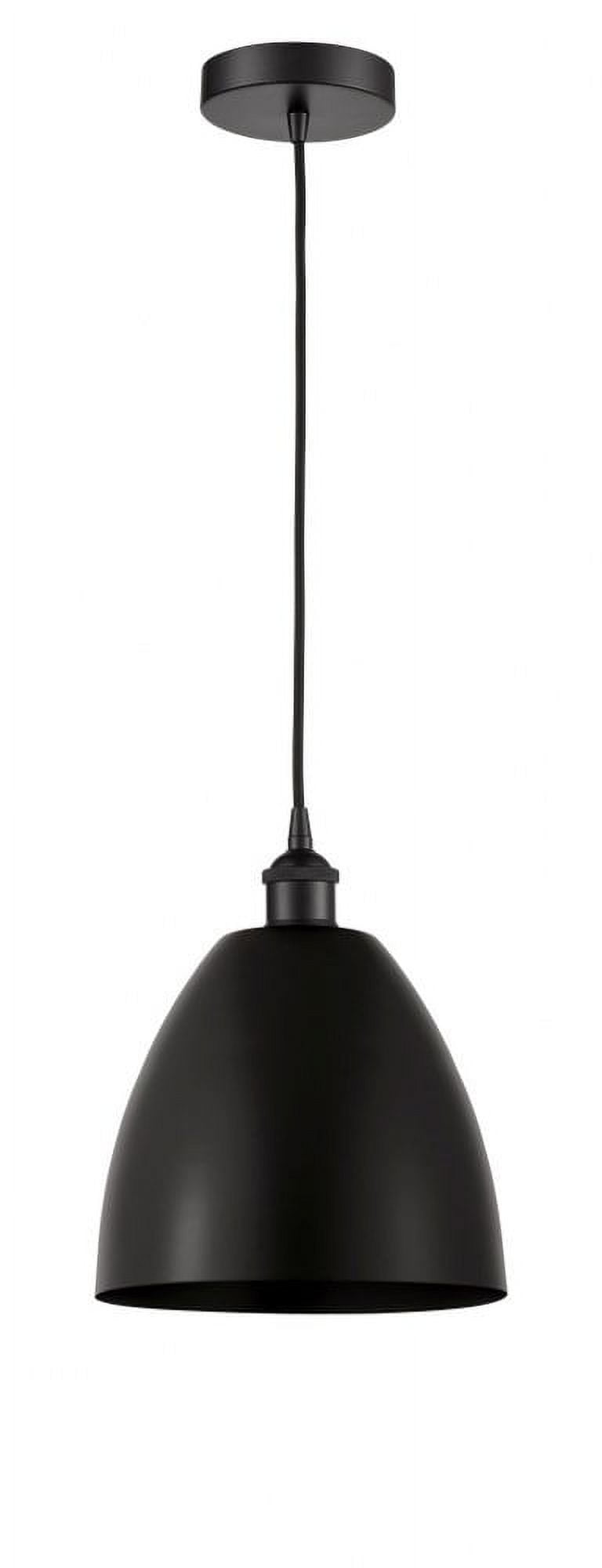 Edison Matte Black Glass Mini Pendant Light