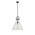 thumbnail image 1 of Innovations Lighting  Newton Cone - 1 Light 16" Stem Hung Pendant Seedy/Matte Black, 1 of 5