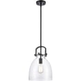 thumbnail image 1 of 412-1S-BK-10CL Innovations Lighting Newton-One Light Mini Pendant-14 Inches Wide by 17 Inches High-Matte Black Finish, 1 of 4