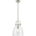 thumbnail image 1 of 412-1S-SN-10CL Innovations Lighting Newton-One Light Mini Pendant-14 Inches Wide by 17 Inches High-Brushed Satin Nickel Finish, 1 of 3