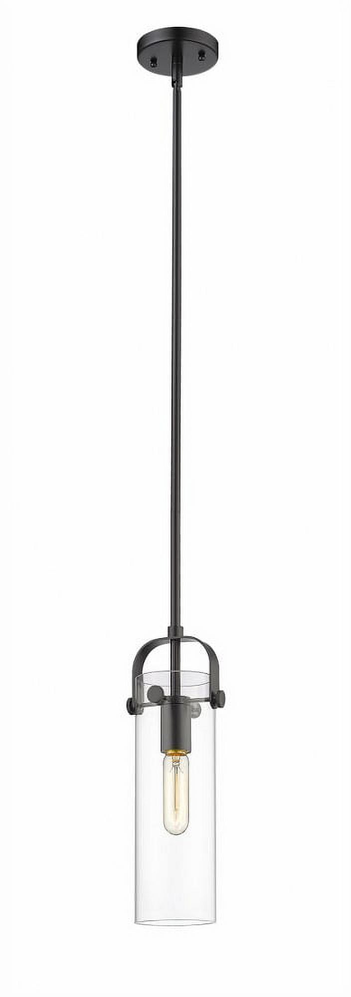 Matte Black Glass Cylinder Indoor/Outdoor Pendant Light