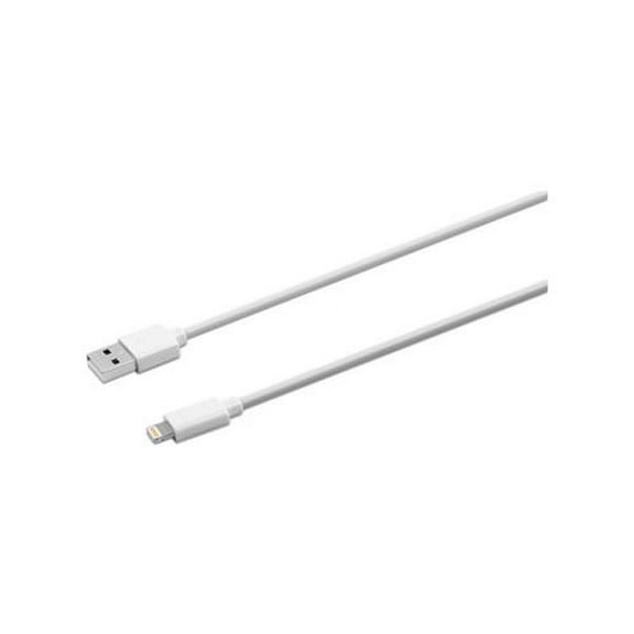 USB Lightning Cable 10 ft, White