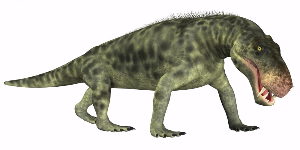 Inostrancevia is a carnivorous reptile that lived during the Permian age Canvas Art - Corey FordStocktrek Images (40 x 20)