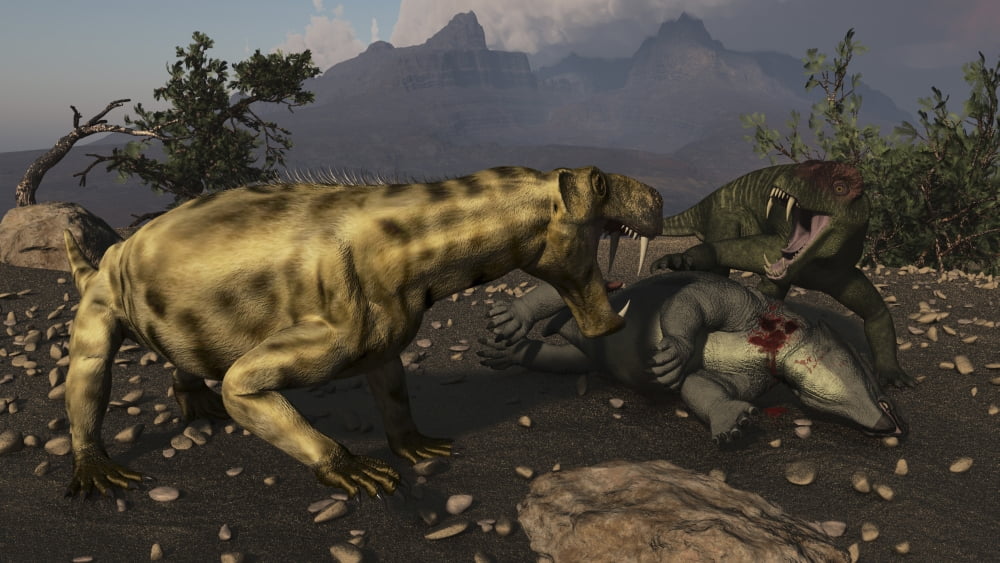 Inostrancevia moving in on a kill made by a Doliosauriscus Canvas Art - Arthur DoretyStocktrek Images (19 x 11)