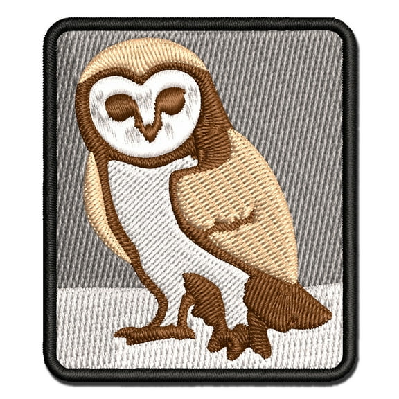 Inquisitive Barn Owl Applique Multi-Color Embroidered Hook & Loop Patch - 3 Inch Medium