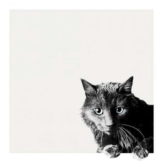 Inquisitive Canvas Art - Jon Bertelli (24 x 24)