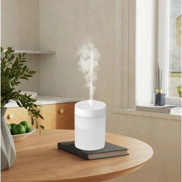 InsCrazy Humidifiers for Bedroom, HUMIDIFIER for BEDROOM HOME and Plant Humidifier Humidifier Super Easy to and Clean