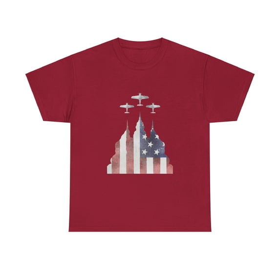 Insane Pride American Unisex Heavy Cotton Tee