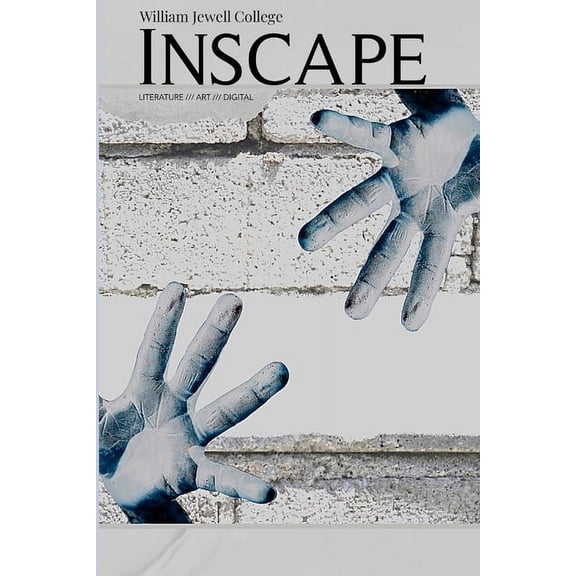 Inscape XV (Paperback)