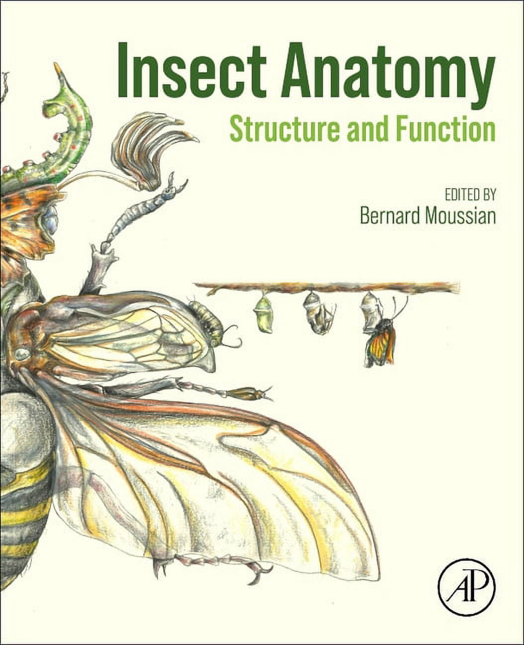 語学+参考書 The Insects: Structure and Function Amazon.com: The Insects: Structure and Function