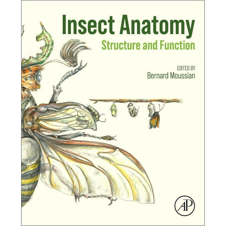 語学+参考書 The Insects: Structure and Function Amazon.com: The Insects: Structure and Function