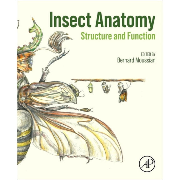 Insect Anatomy: Structure and Function, (Paperback)