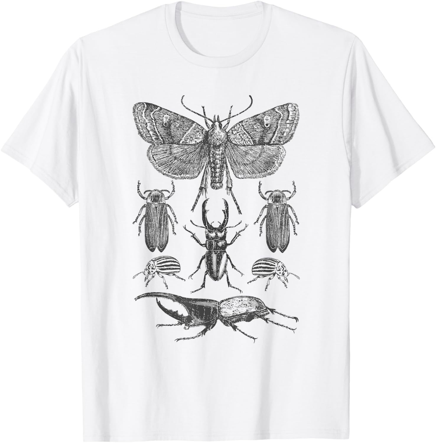 Insect Bug Collection Shirt Moth Stag Beetle Cicada T-Shirt T-Shirt ...