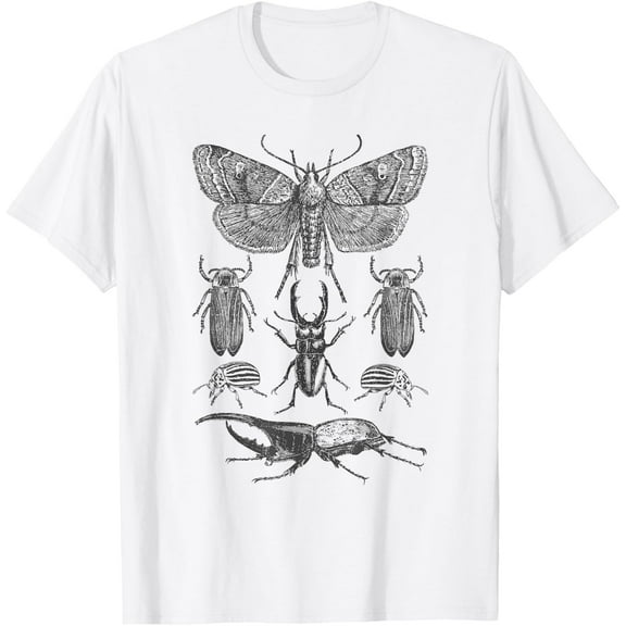 Insect Bug Collection Shirt Moth Stag Beetle Cicada T-Shirt T-Shirt