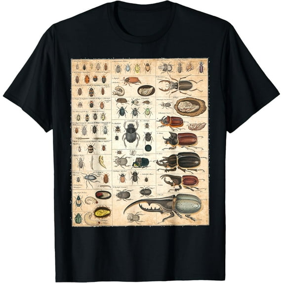 Insect Collection Chart Species Bugs Vintage Entomology T-Shirt