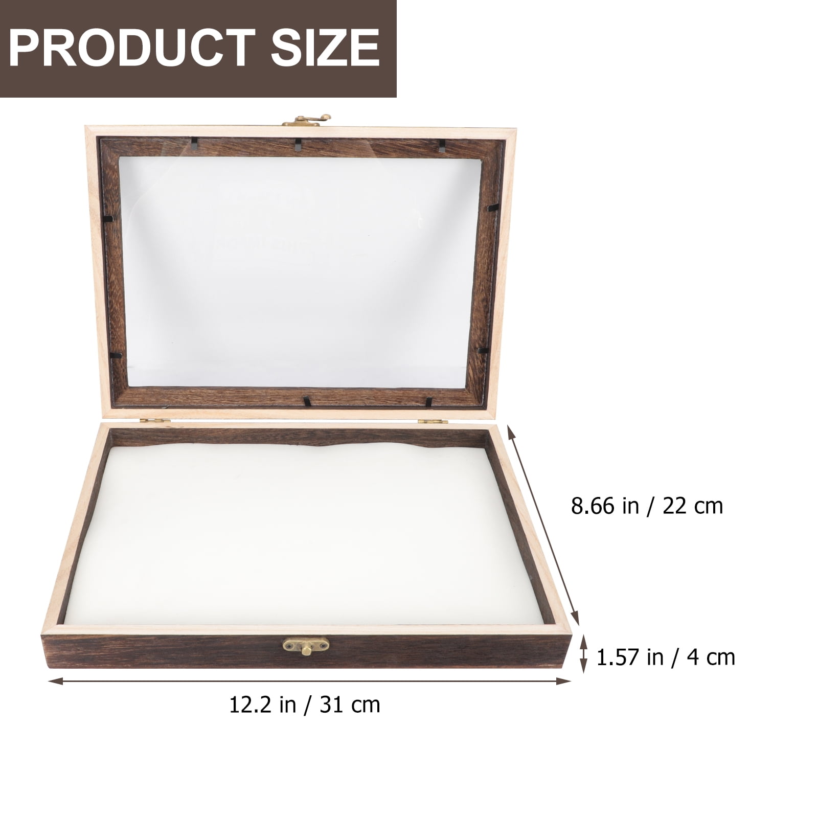 WRISTBIQUE Wristbique Insect Specimen Display Case Wooden Acrylic ...