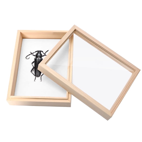 Wooden Shadow Box Display Case 7.08"x5.31"x2.16", DIY Insect Bug Specimen Collection Box for Butterfly Dried Flower Photo Memorabilia, Taxidermy Box for Home School Craft