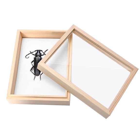 Insect Display Case, Bug Collection Box Framed in Wood, 7.08 x 5.31 x 2.16 inches Taxidermy Insect Box