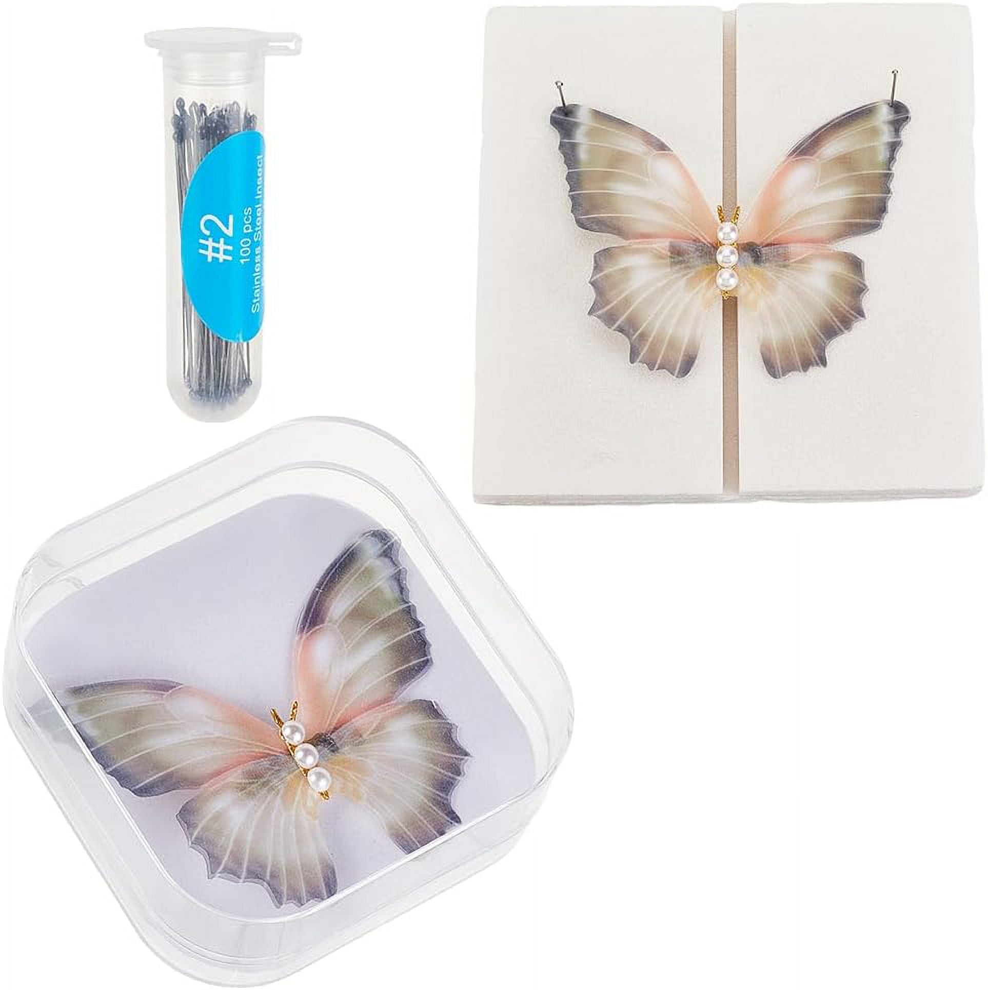 OLYCRAFT Insect Display Case Insect Display Case Insect Display Board Transparent Acrylic Collection Box Samples Tool Set With EVC Plastic Insert Samples Distribution Board And 100 Pieces Stainless