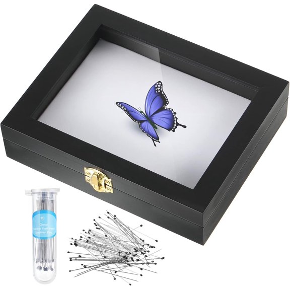 Insect Display Case Bug Display Case Box Collection with Clear Lid and Mat Acrylic Top EVA Foam Pinning Board and 100 Pcs Pins Shadow Box for Bug Butterfly Insect Specimen(Black)