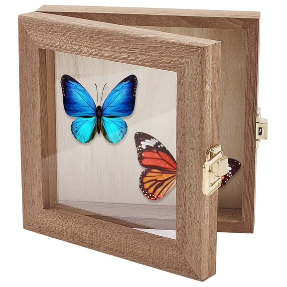 Insect Display Case DIY Wooden Frame Butterfly Shadow Box with Clear Glass Top Insect Specimen Storage Box