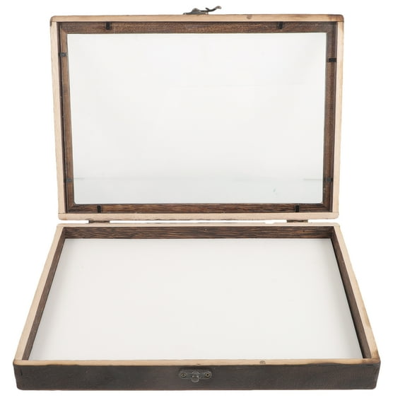 CIMAXIC 1Set Vintage Coffee Color Insect Specimen Box with Transparent Acrylic Cover