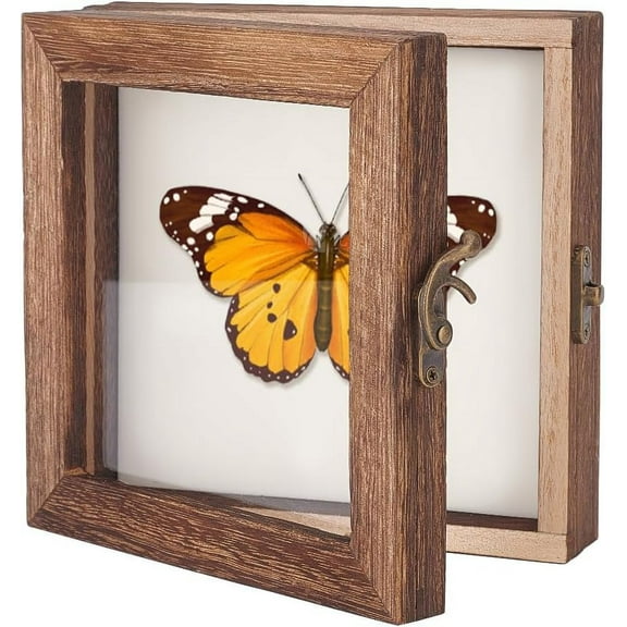Insect Display Case Shadow Box for Insect Display with Clear Top Insect Specimen Storage Box Wood Insect Storage Case for Collecting Specimen 6 x 6 Inch