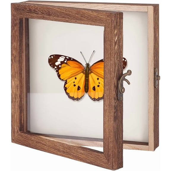 Insect Display Case Shadow Box for Insect Display with Clear Top Insect Specimen Storage Box Wood Insect Storage Case for Collecting Specimen 8 x 8 Inch Gold