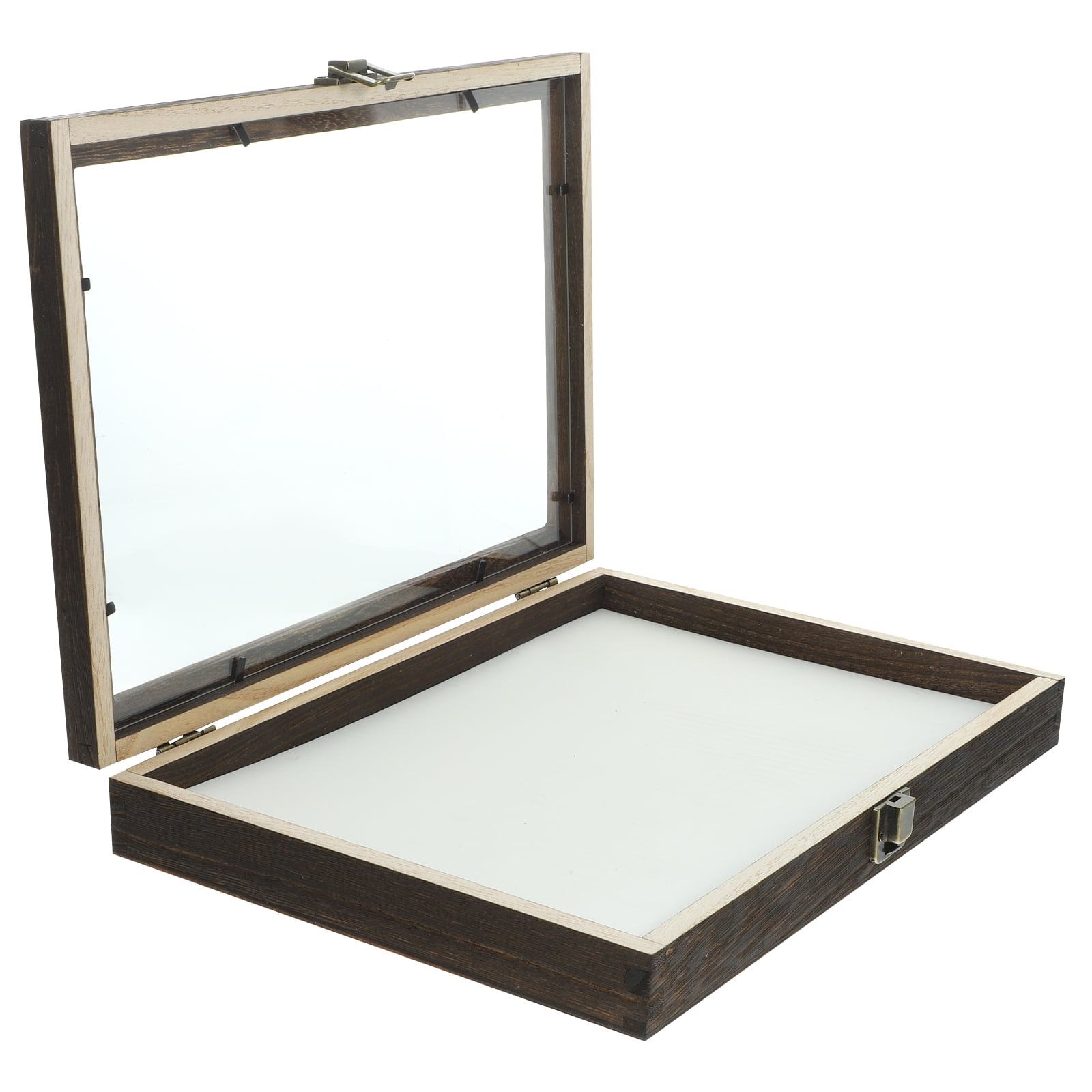 Insect Display Case Specimen Box Wood Picture Frames Wooden Specimen Frame Shadow Box Frame for