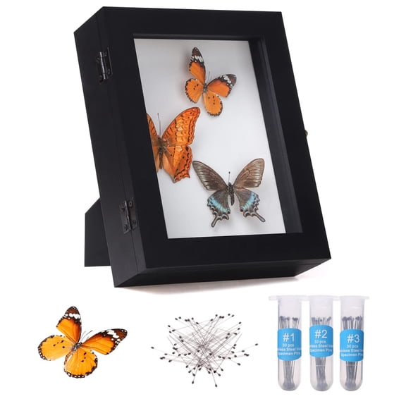 Insect Display Case Wall Mount Bug Display Case Collection Box for Butterfly Specimen with Anti Fade UV Protection Acrylic Top Eva Foam Pinning Board and 3 Sizes Pins Insect Shadow Box