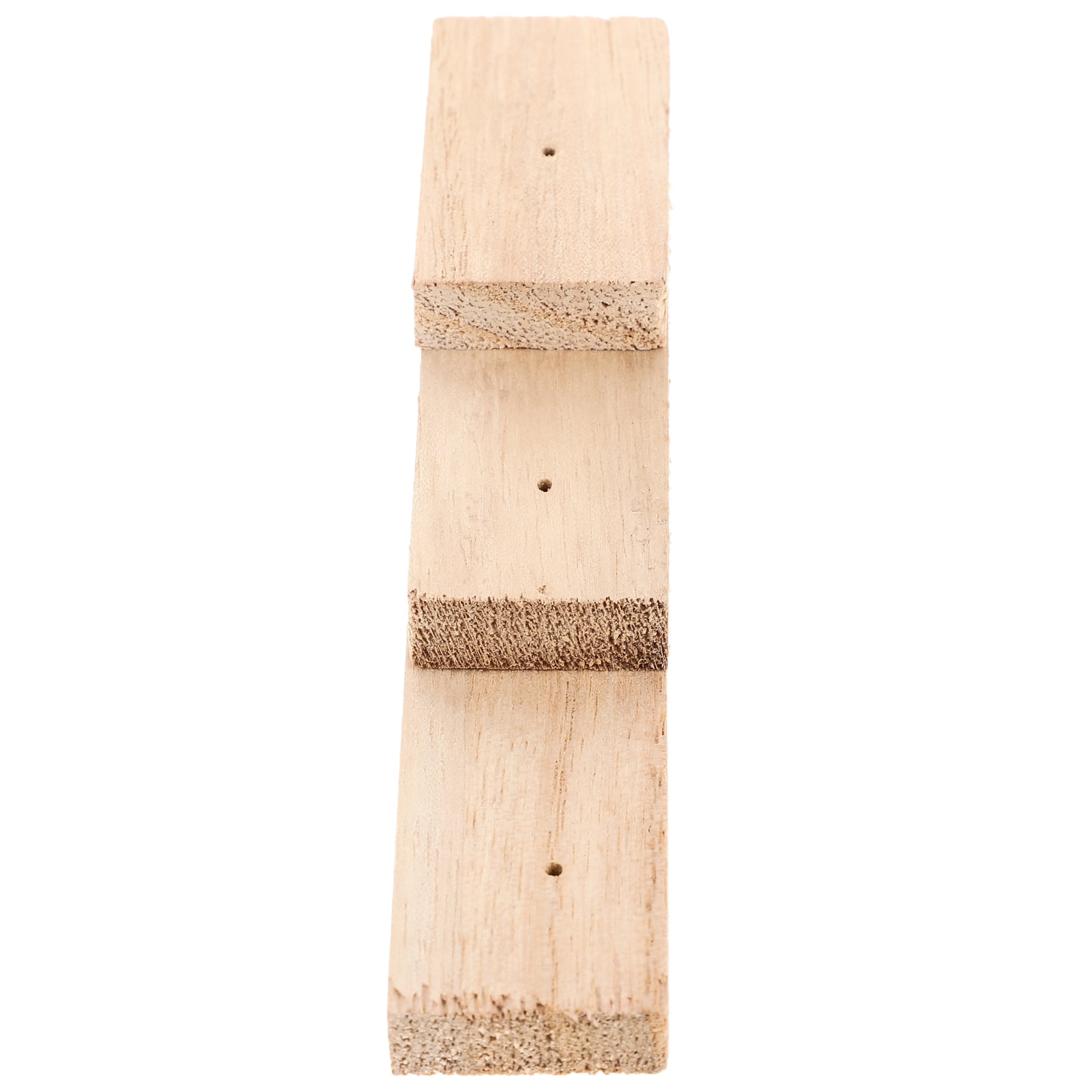 Insect Pinning Block Insect Display Stand Insect Specimen Mounting Kit Butterfly Pinning Specimen Display Block 7718365c D839 4066 A8a6 D22595eb9524.d9e8d998cf126e7d06ebf9c27f6d61bb