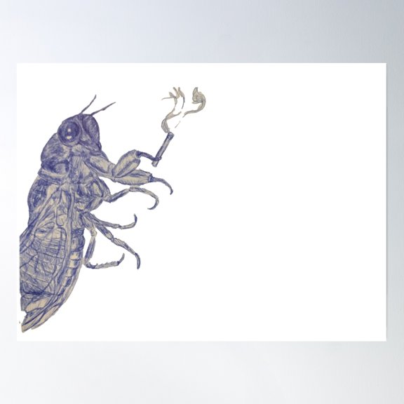 Insect, Hayscotch: Mountain Zinca Poster Wall Art, Modern Wall Decor, 8x12 UNFRAMED