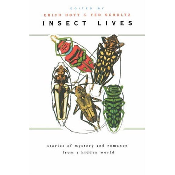 Pre-Owned Insect Lives: Stories of Mystery and Romance from a Hidden World (Paperback) 0674009525 9780674009523