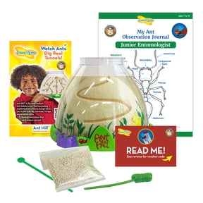 Insect Lore Ant Hill - Ant Habitat with Voucher to Redeem Live Western Harvester Ants - STEM Learning and Education Project for Classrooms or Homeschool