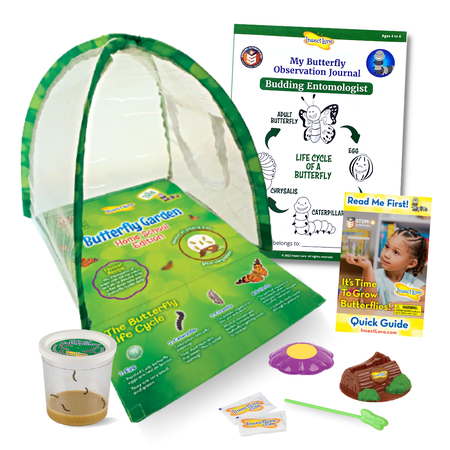 Insect Lore Butterfly Garden® Observatory with Live Caterpillars