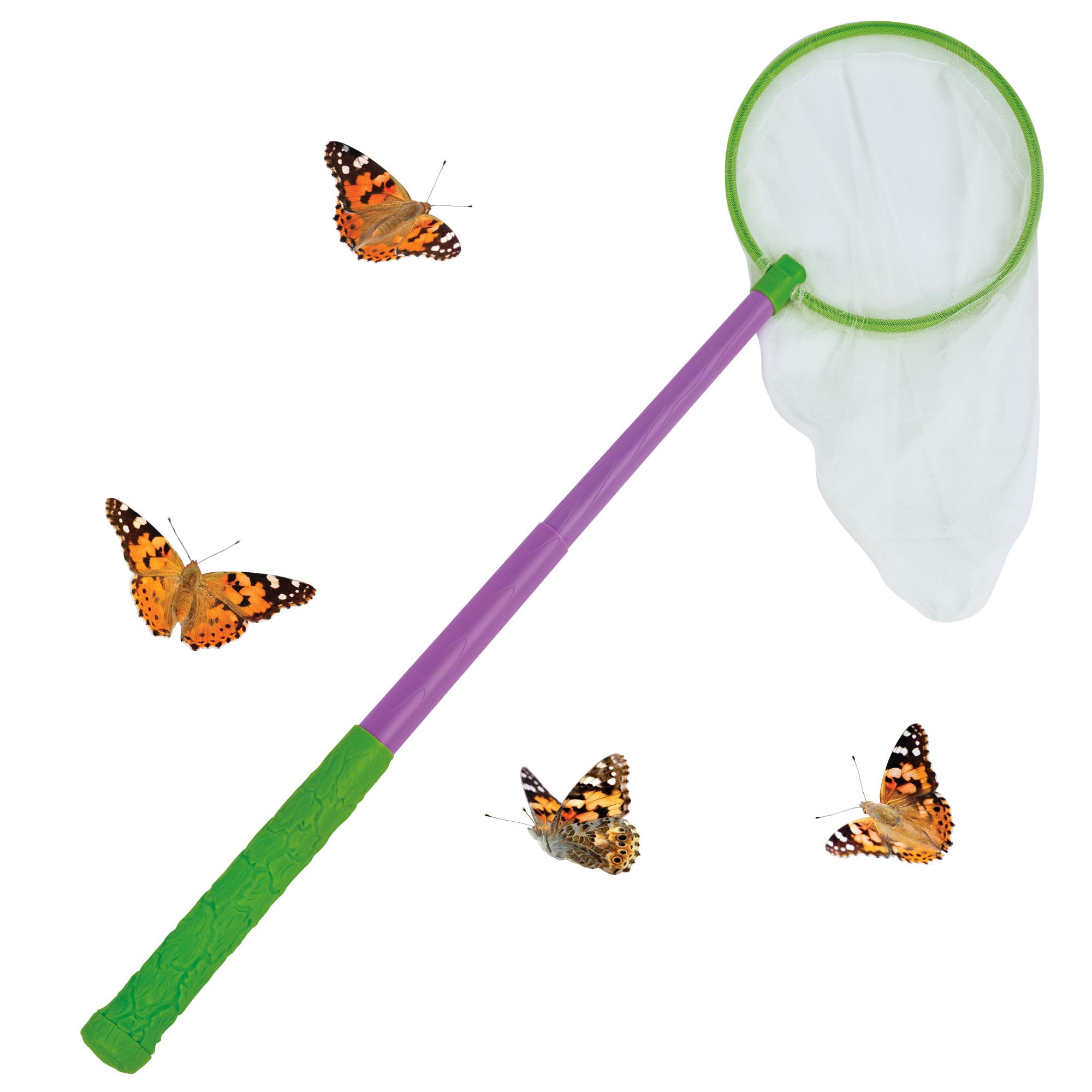 https://i5.walmartimages.com/seo/Insect-Lore-Extend-A-Net-Telescoping-Butterfly-Net-for-Educational-Exploration-Learning_334b3456-5bc3-431e-bd4b-65183f91a97f.b05db73aa2180589de96ef08b98c8229.jpeg