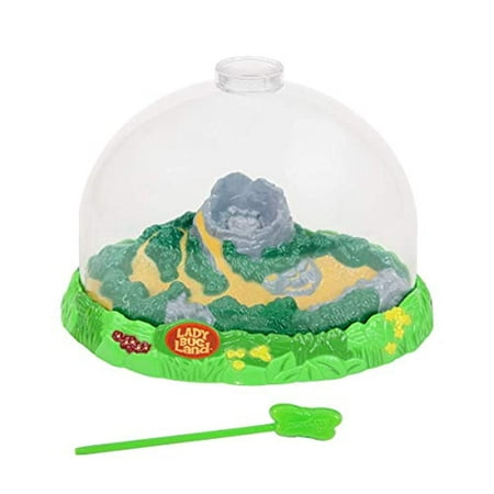 Insect Lore Ladybug Growing Kit Toy - Includes Voucher Coupon for Baby Ladybug Larave to Adult Ladybugs - SHIP LATER