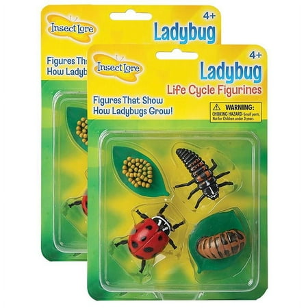 Insect Lore Ladybug Life Cycle Stages, 4 Per Set, 2 Sets