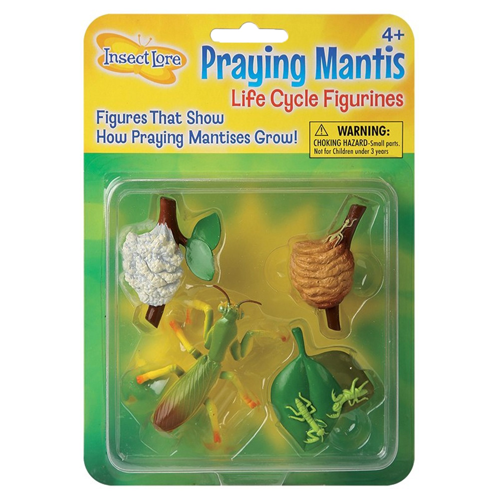 Insect Lore™ Praying Mantis Life Cycle Stages - image 1 of 2