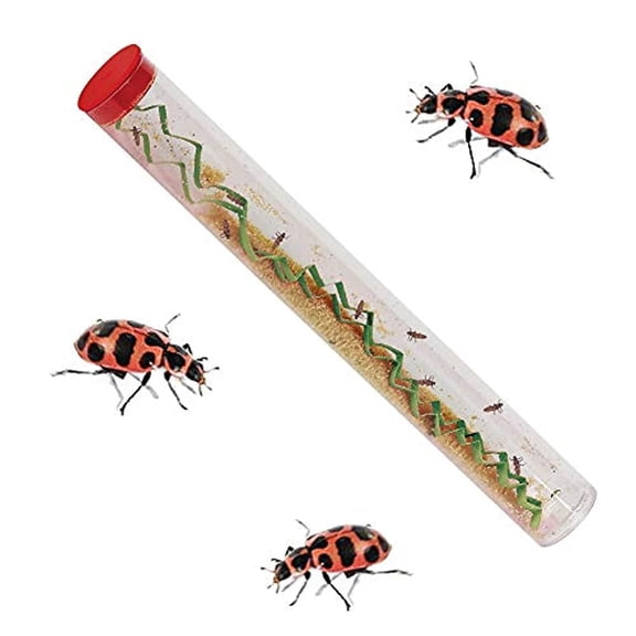 Insect Lore 10-15 Ladybug Larvae - Live Pink Spotted Ladybug Larvae - Grown in USA - Refill for Habitat - Observe, Raise & Release Ladybugs
