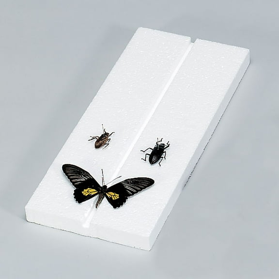 Insect Mounting Board, Styrofoam, Pack Of 10