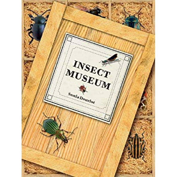 Pre-Owned Insect Museum: Describing 114 Species of Insects and Other Arthropods, Including Their Natural History and Environment (Hardcover) 1554074835 9781554074839