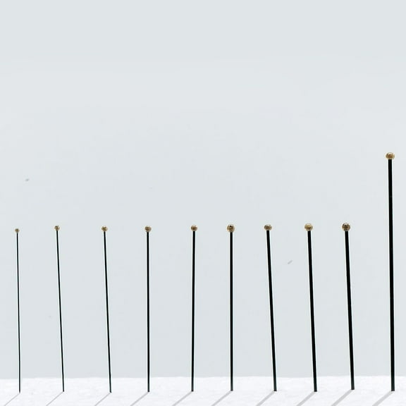 Insect Pins, Black Steel, Size 0, Pack Of 100