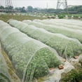 thumbnail image 1 of Insect Protection Net Mesh Garden Plant Netting Reusable Fencing for Protect Plant Fruits Flower, 1 of 7