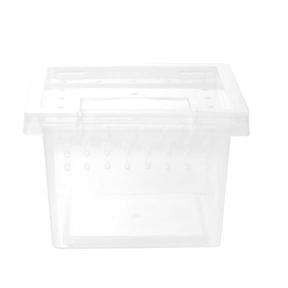 Insect Rearing Box Reptile Terrarium Case For Pet Container Sea turtle Plastic
